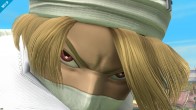 Image published direct in smashbros.com 09.Apr.2014